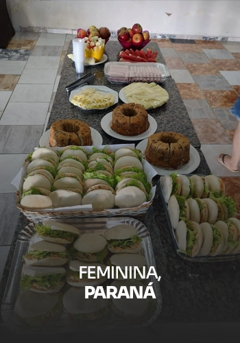 feminaparaná